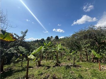VENDO FINCA EN QUIMBAYA