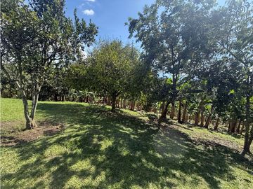 VENDO FINCA EN QUIMBAYA