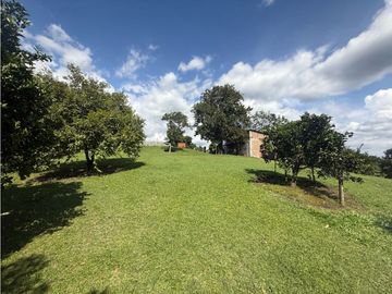 VENDO FINCA EN QUIMBAYA
