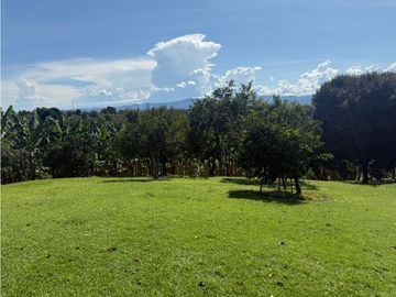 VENDO FINCA EN QUIMBAYA