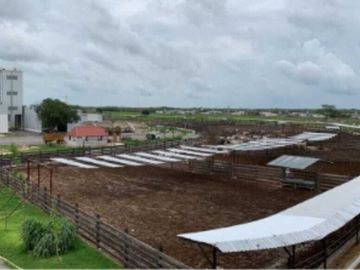Rancho integral en venta con planta de alimentos y equipamiento de primera