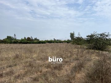 EXCELENTE TERRENO EN VENTA DE 18.000M2 EN MALA, CAÑETE