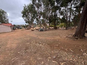 Parcela en venta en ALGARROBO