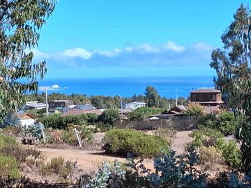 Parcela en venta en ALGARROBO