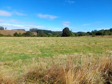Venta de Terreno de 5000 m² en Refugio del Llanquihue
