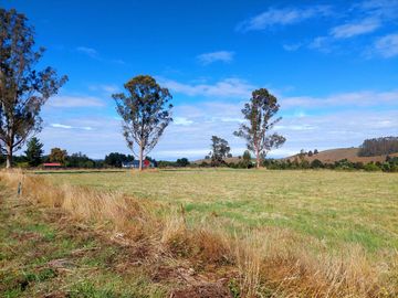 Venta de Terreno de 5000 m² en Refugio del Llanquihue