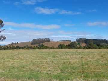 Venta de Terreno de 5000 m² en Refugio del Llanquihue