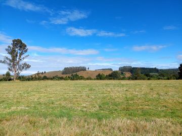 Venta de Terreno de 5000 m² en Refugio del Llanquihue