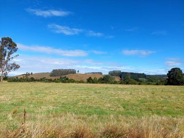 Venta de Terreno de 5000 m² en Refugio del Llanquihue
