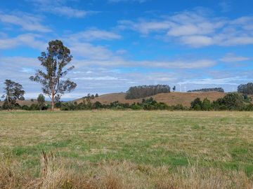 Venta de Terreno de 5000 m² en Refugio del Llanquihue