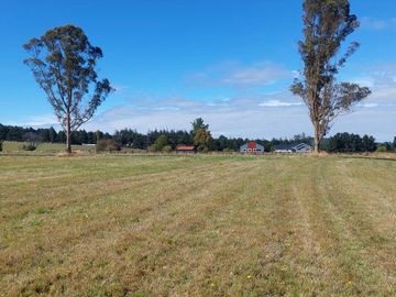 Venta de Terreno de 5000 m² en Refugio del Llanquihue