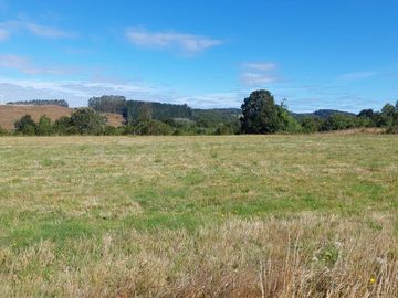 Venta de Terreno de 5000 m² en Refugio del Llanquihue