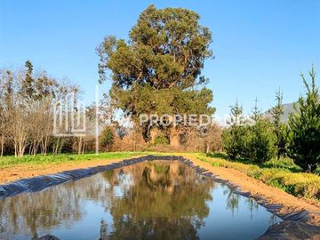 Parcela en Venta en Olmué