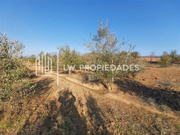 Parcela en Venta en Olmué