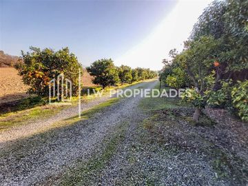 Parcela en Venta en Olmué