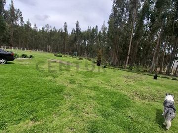 En Venta Terrenos de 5000m2 en la Entrada a Lasso entre Latacunga y Machachi