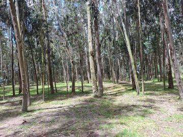 En Venta Terrenos de 5000m2 en la Entrada a Lasso entre Latacunga y Machachi