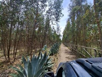 En Venta Terrenos de 5000m2 en la Entrada a Lasso entre Latacunga y Machachi