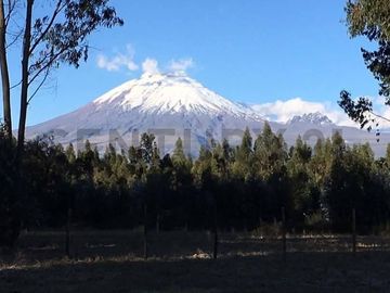 Vendo Casa - Terreno de 20.000m en la Entrada a Lasso entre Latacunga y Machachi