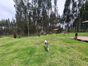 Vendo Casa - Terreno de 20.000m en la Entrada a Lasso entre Latacunga y Machachi