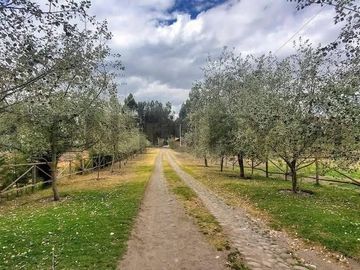 Vendo Casa - Terreno de 20.000m en la Entrada a Lasso entre Latacunga y Machachi
