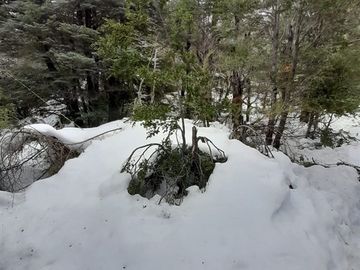Sitio en Venta en Las Encinas, Las Trancas, Camino a Termas de Chillán
