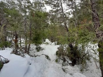 Sitio en Venta en Las Encinas, Las Trancas, Camino a Termas de Chillán