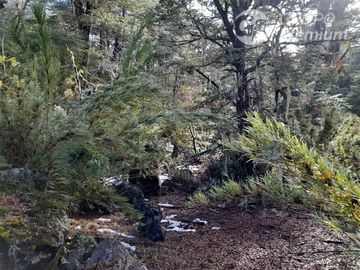 Sitio en Venta en Las Encinas, Las Trancas, Camino a Termas de Chillán