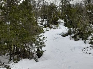 Sitio en Venta en Las Encinas, Las Trancas, Camino a Termas de Chillán