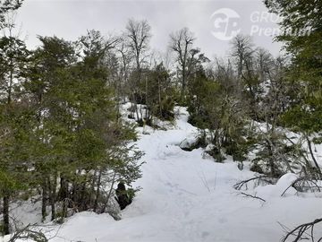 Sitio en Venta en Las Encinas, Las Trancas, Camino a Termas de Chillán