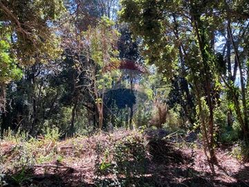 Venta de Parcela en Punucapa, Valdivia