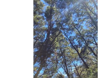 Venta de Parcela en Punucapa, Valdivia