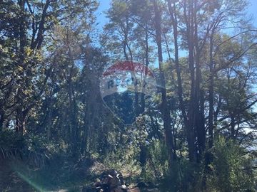 Venta de Parcela en Punucapa, Valdivia
