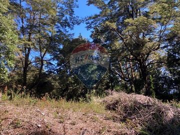 Venta de Parcela en Punucapa, Valdivia