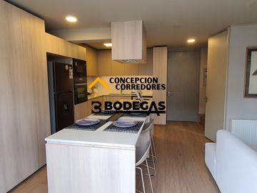 DEPARTAMENTO DUPLEX 2D+3B PROVIDENCIA - METRO FCO BILBAO