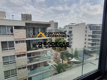 DEPARTAMENTO DUPLEX 2D+3B PROVIDENCIA - METRO FCO BILBAO