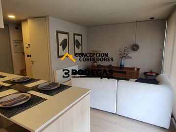 DEPARTAMENTO DUPLEX 2D+3B PROVIDENCIA - METRO FCO BILBAO