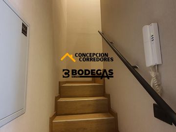 DEPARTAMENTO DUPLEX 2D+3B PROVIDENCIA - METRO FCO BILBAO