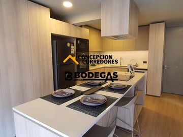 DEPARTAMENTO DUPLEX 2D+3B PROVIDENCIA - METRO FCO BILBAO