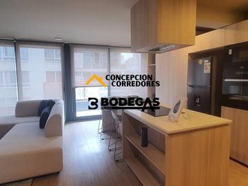 DEPARTAMENTO DUPLEX 2D+3B PROVIDENCIA - METRO FCO BILBAO