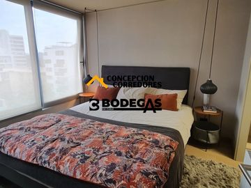 DEPARTAMENTO DUPLEX 2D+3B PROVIDENCIA - METRO FCO BILBAO