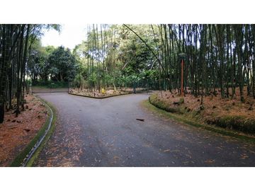 VENDO CASA CAMPESTRE ENTRE ALCALA Y QUIMBAYA