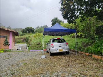 Vendo finca en Fredonia Antioquia