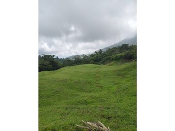 Vendo finca en Fredonia Antioquia
