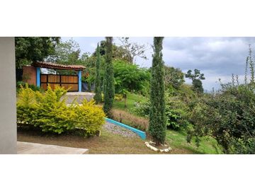 Vendo finca en Fredonia Antioquia
