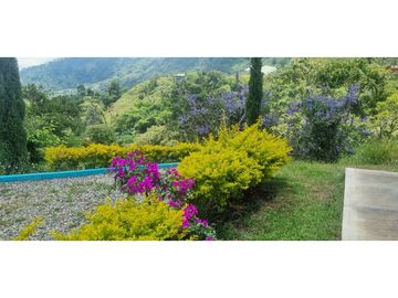 Vendo finca en Fredonia Antioquia