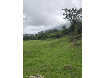 Vendo finca en Fredonia Antioquia