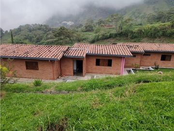 Vendo finca en Fredonia Antioquia