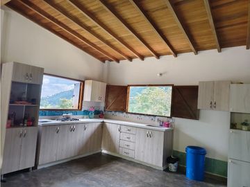 Vendo finca en Fredonia Antioquia