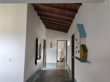 Vendo finca en Fredonia Antioquia